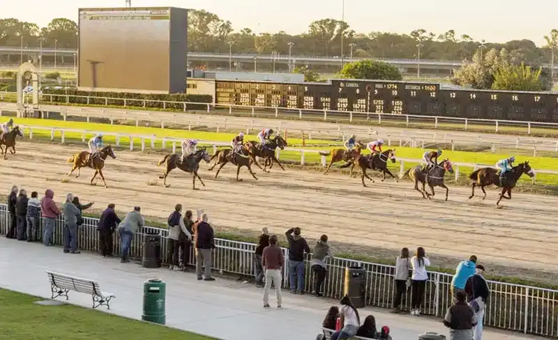 Viernes 16: Actividad Hipódromo de Palermo