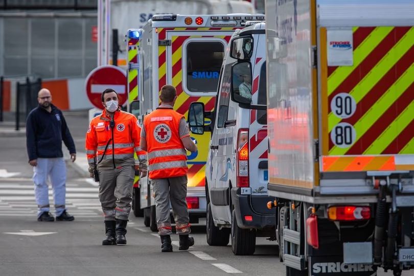 Virus Shamonda: muere en Francia la primera persona infectada en el mundo