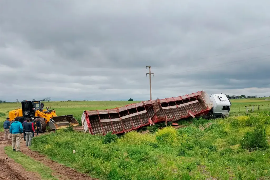 Volcó un camión con 32 vacunos en ruta entrerriana